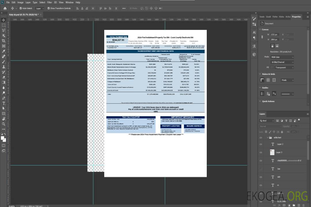 USA Cook Country Electronic Bill téléchargement de facture de services publics exemple Word et PDF template